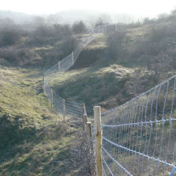 Plaatsing van 35km hekwerk door natuurgebied