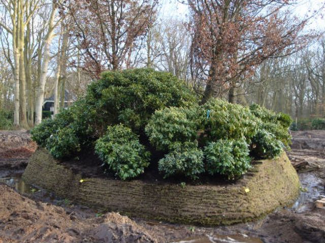 Natuurlijke tuin in Wassenaar